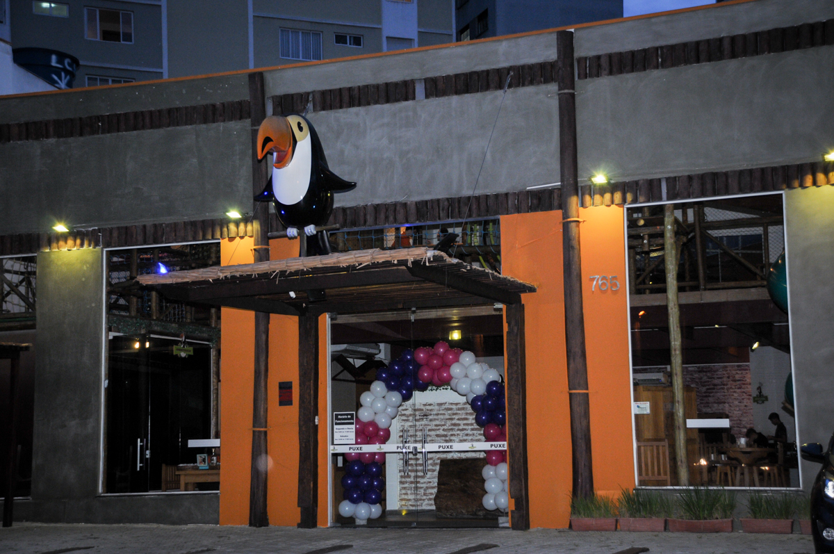 Buffet Toca do toco, Jardins, SP festa infantil aniversário de Isabella 6 anos, tema da festa cúmplices de um resgate