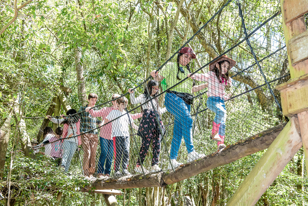 hora de passear na ponte pencil