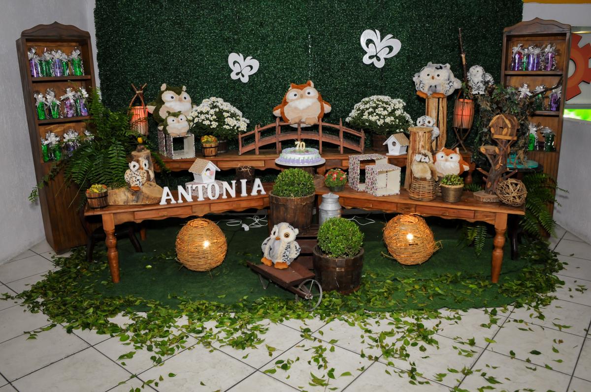 mesa-tematica-no- buffet-fabrica-da-alegria-osasco-sao-paulo-sp-fotografia-adulto-tema-corujas-aniversario-antonia-70-anos