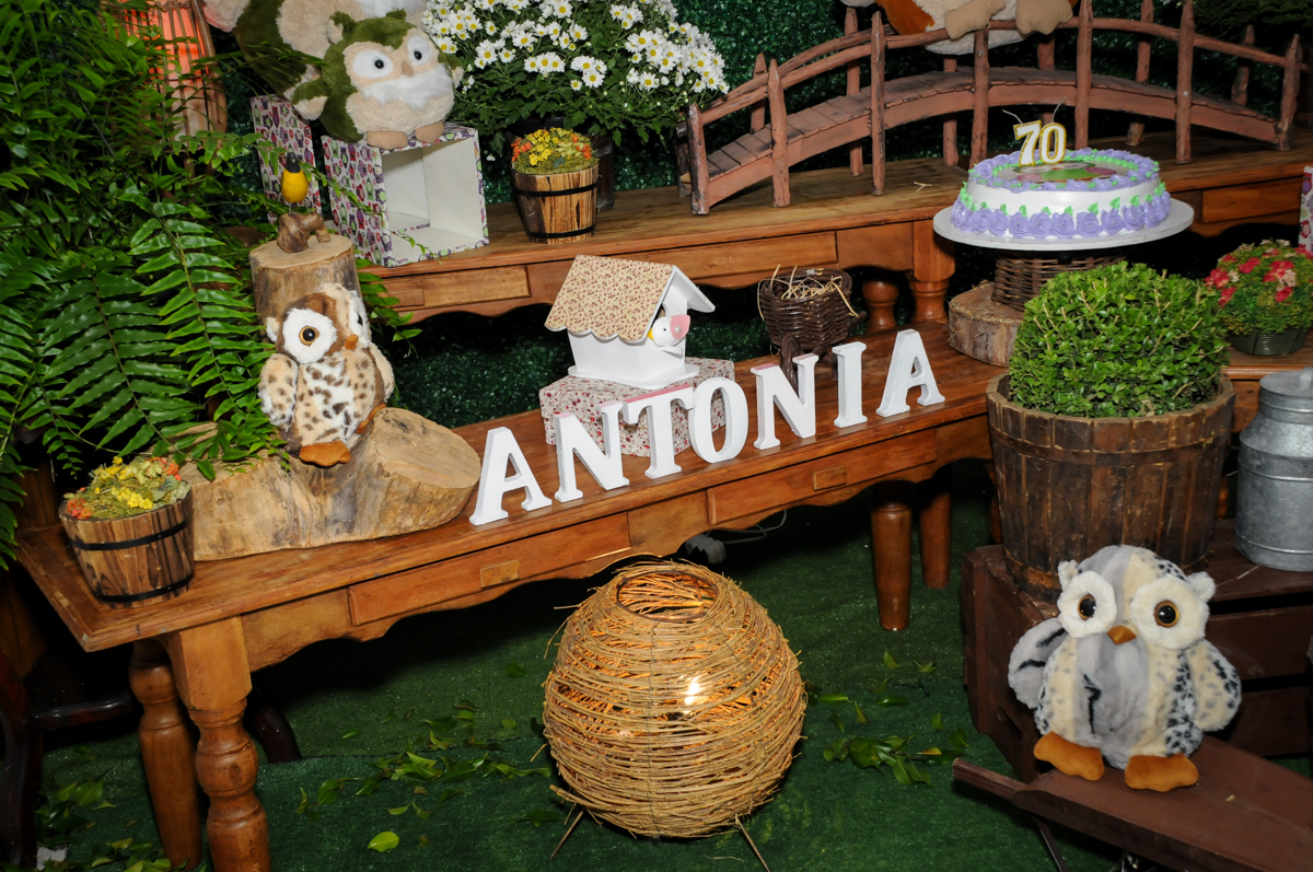 detalhes-da-mesa-tematica-no  buffet-fabrica-da-alegria-osasco-sao-paulo-sp-fotografia-adulto-tema-corujas-aniversario-antonia-70-anos