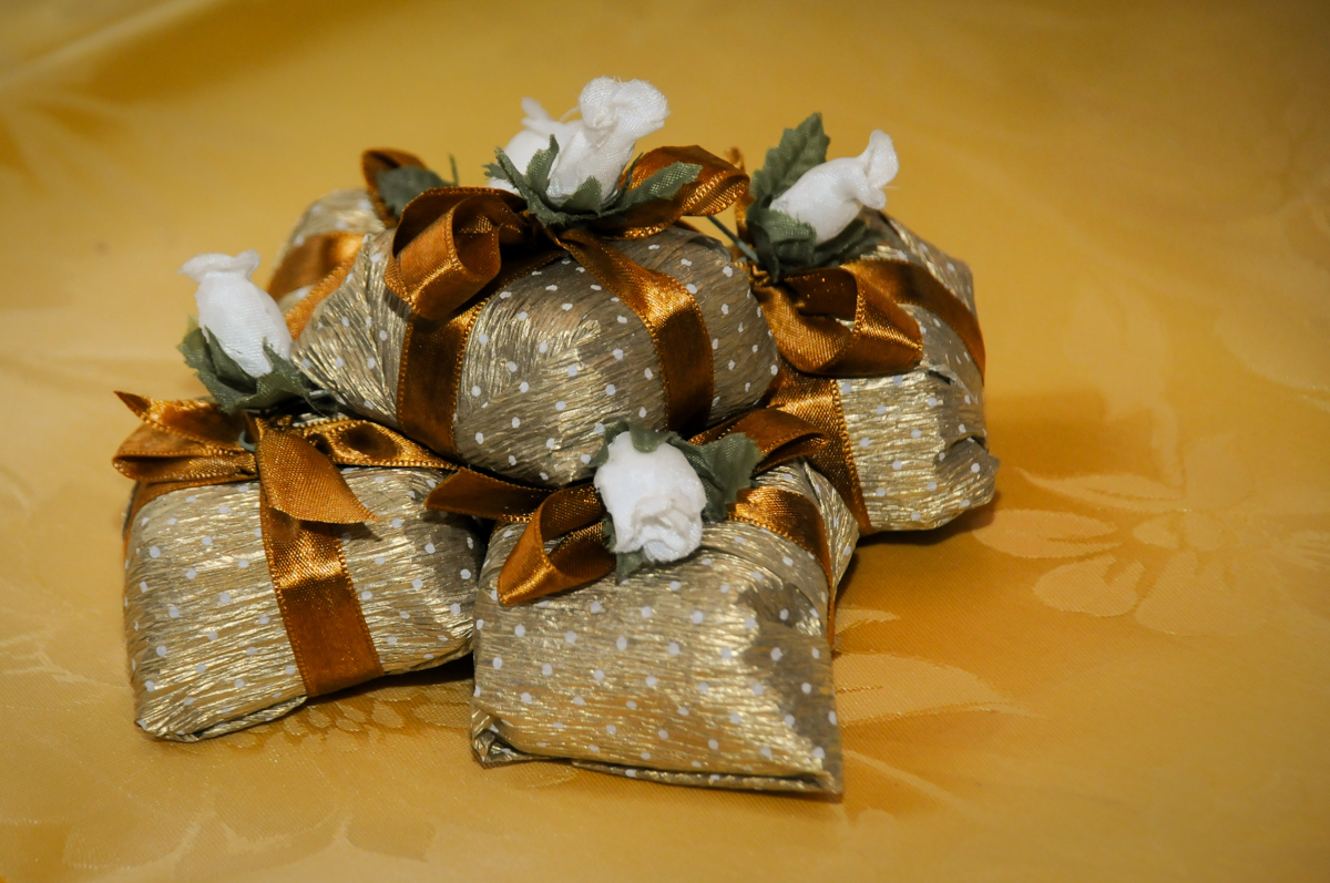 bem-casado-da-festa-no-sítio-granja-viana-festa-adulto-bodas-de-ouro-placidia-e-eider