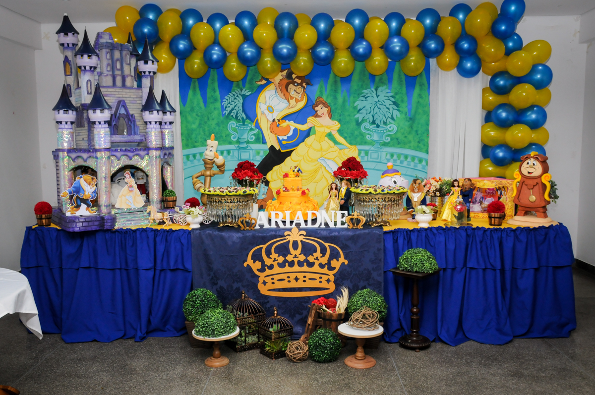 Estádio-morumbi,são-paulo-sp-festa-infantil-fotografia-de-ariadne-7-anos-tema-da-festa-a-bela-e-a-fera