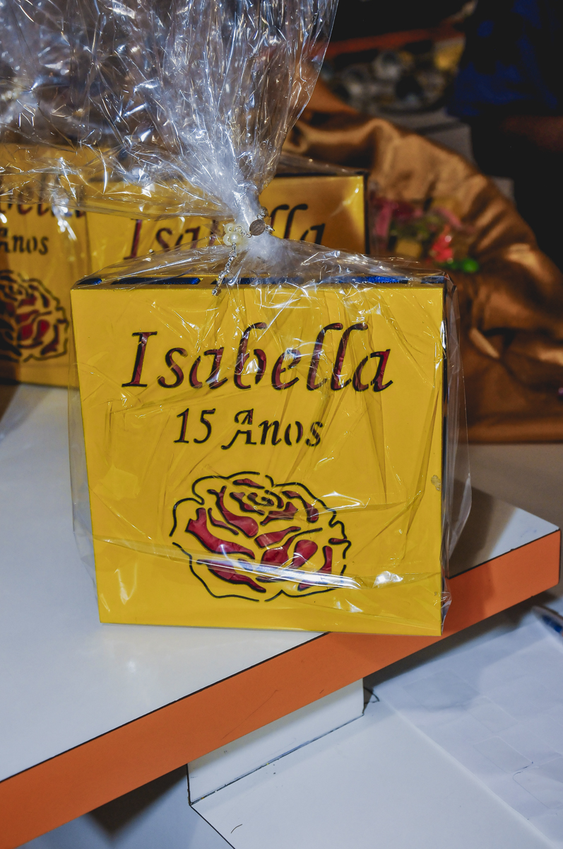 fotógrafo de 15 anos, fotografia de 15 anos, fotógrafo profissional de 15 anos, fotógrafo especializado em 15 anos, fotógrafo de 15 anos em São Paulo, fotógrafo de 15 anos no Tatuapé