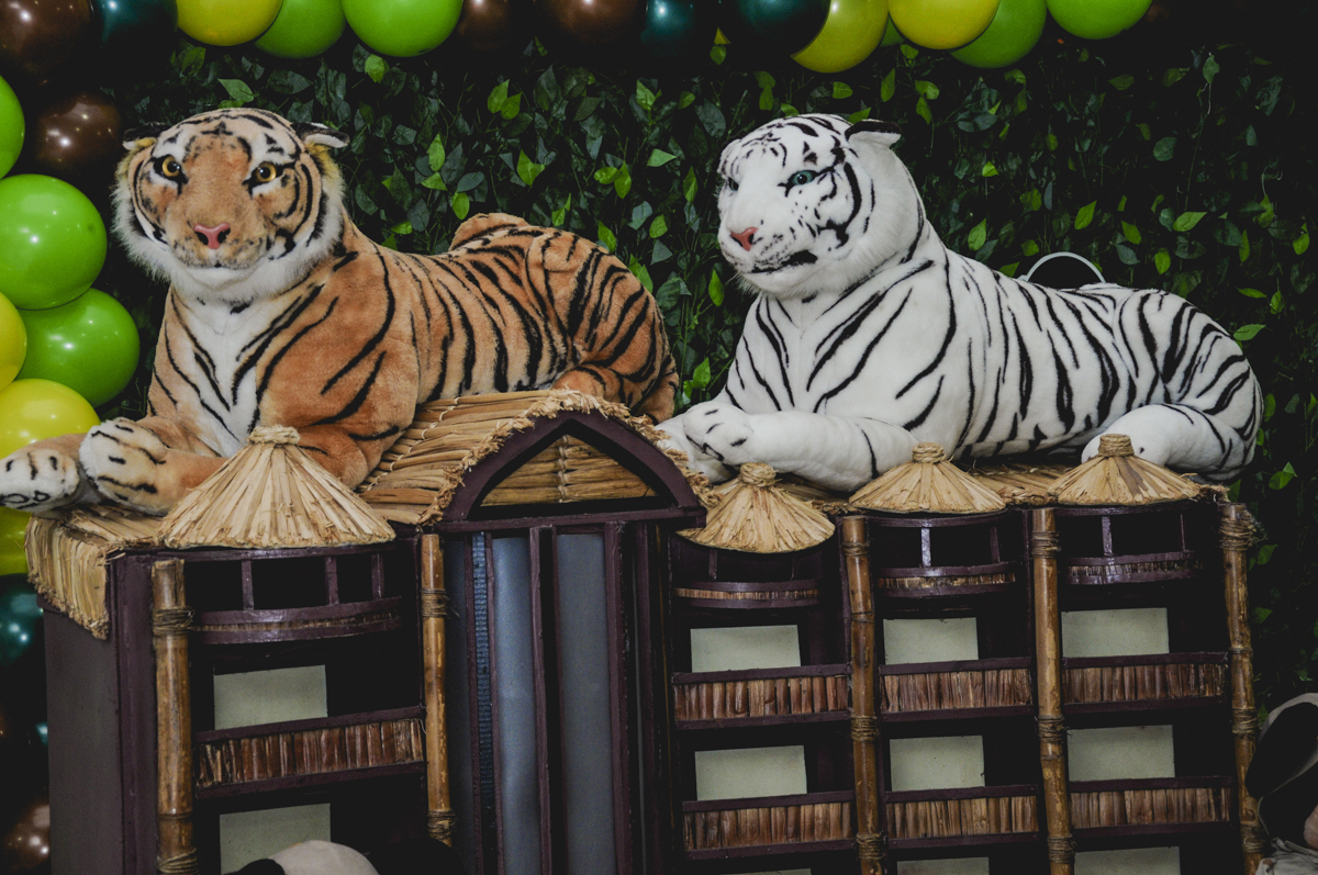 fotografia infantil, filmagem de festa infantil, foto e filmagem infantil, foto e vídeo de festa infantil, fotógrafo de festa infantil, fotógrafo de aniversário infantil, fotógrafo profissional infantil, fotógrafo