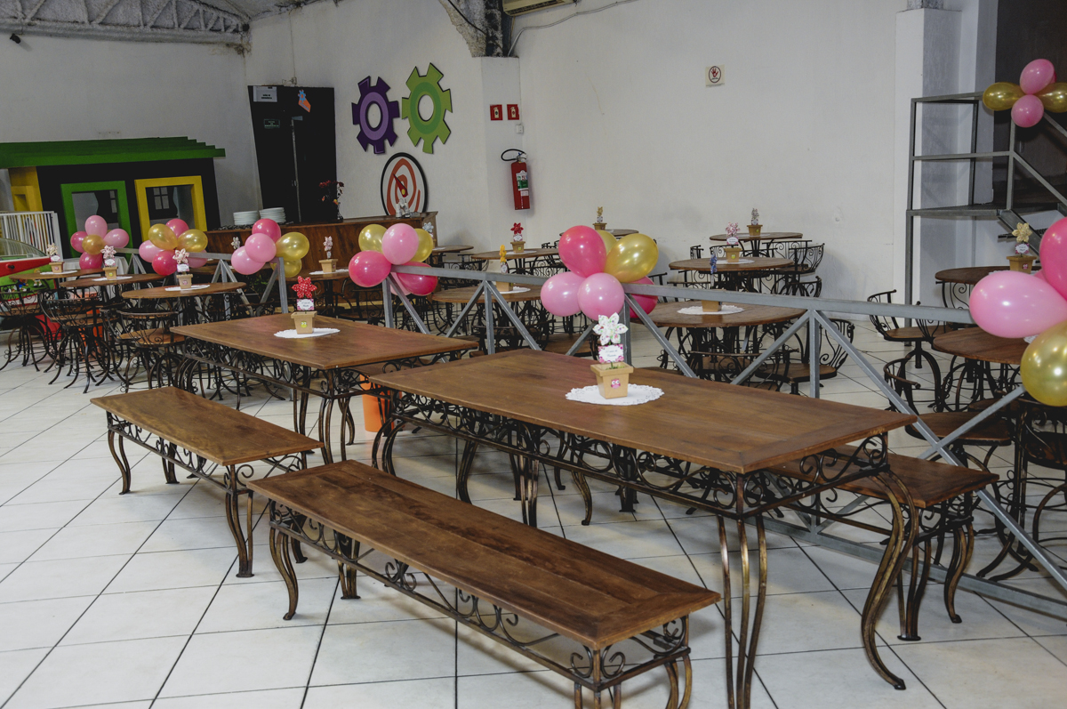 Festa de adulto, festa temática, festa fantazia