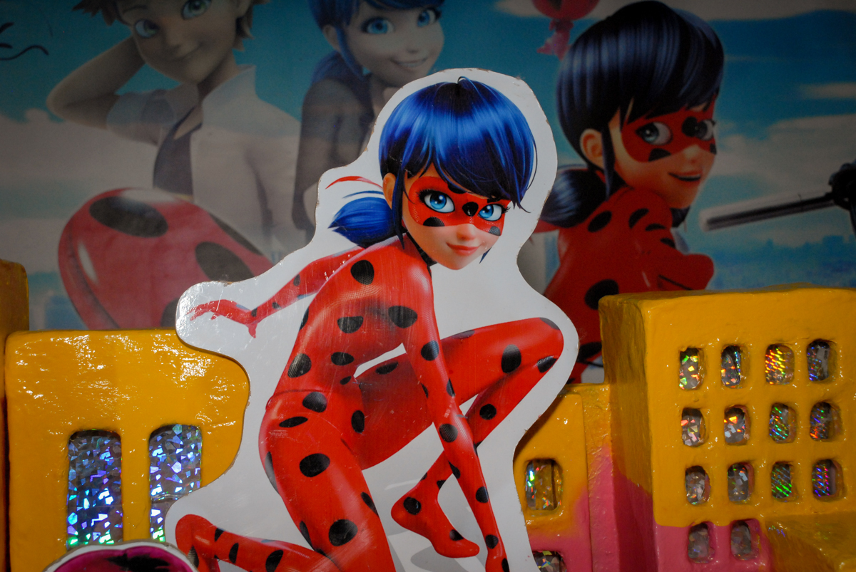 detalhes da mesa no Buffet Magic Joy, Saude, São Paulo, aniversário de Beatriz 6 anos, tema da festa lady bug