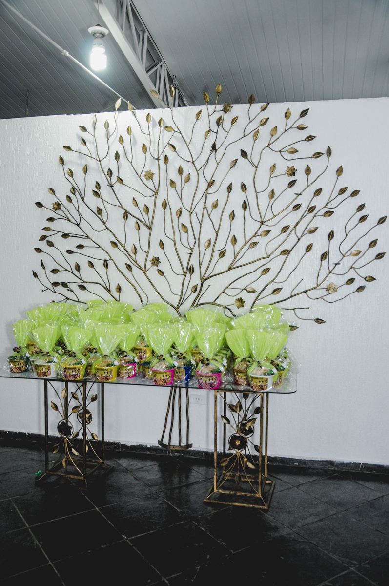 fotografia infantil, filmagem de festa infantil, foto e filmagem infantil, foto e vídeo de festa infantil, fotógrafo de festa infantil, fotógrafo de aniversário infantil, fotógrafo profissional infantil, fotógrafo