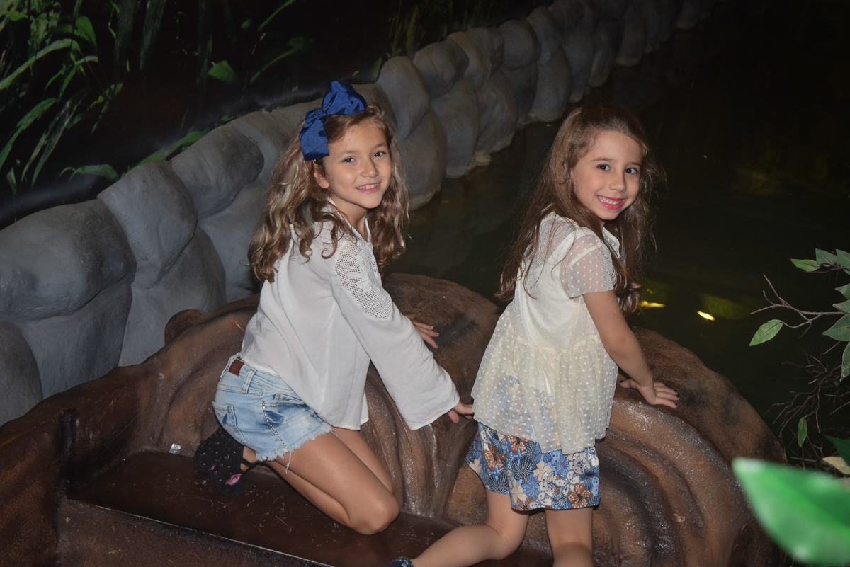 as aniguinhas se divertem nos brinquedos noBuffet Cumbaya, Tatuapé, São Paulo, aniversário de Gabriela 3 anos tema da festa fadas