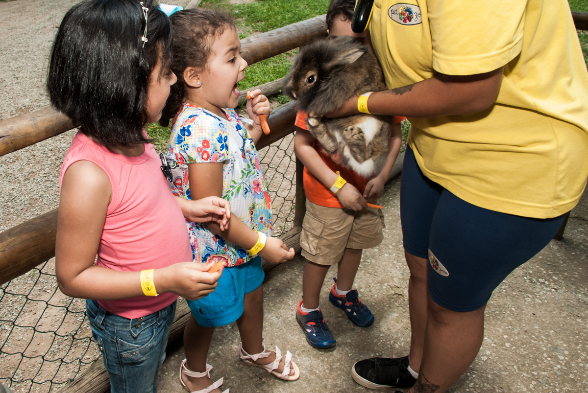 alimentando o coelho no Buffet Pet Zoo, Cotia, São Paulo, aniversário de Maria Clara 4 anos, Buffet Pet Zoo, Cotia, São Paulo, tema da festa Dora a Aventureira