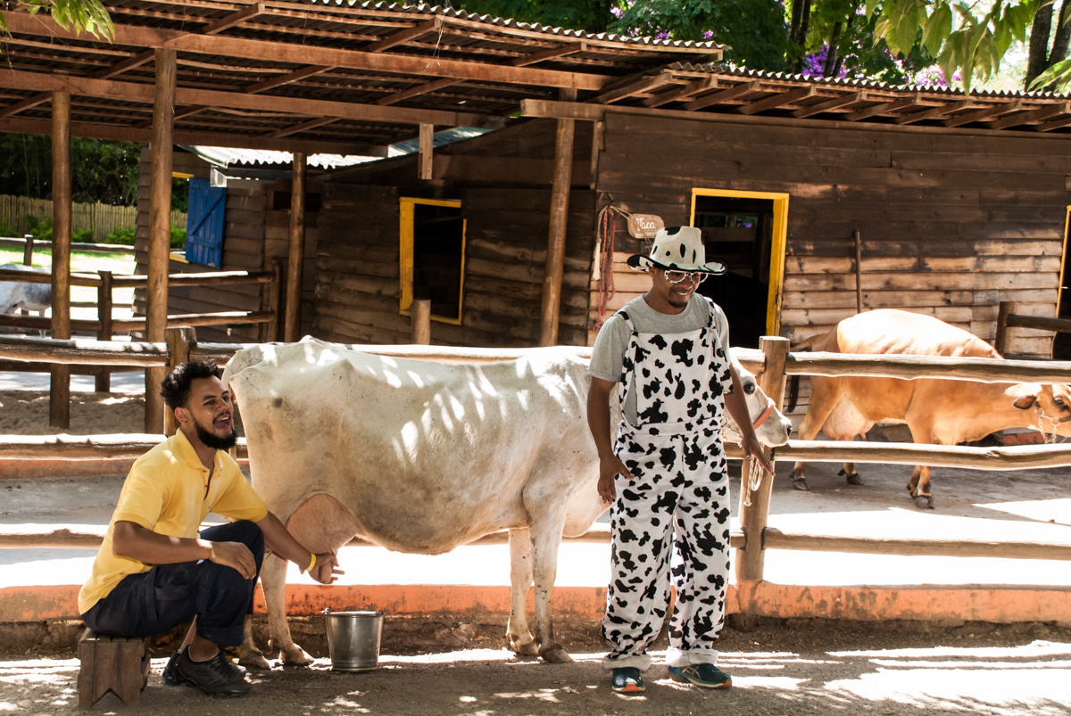 show com a vaquinha no Buffet Pet Zoo, Cotia, São Paulo, aniversário de Maria Clara 4 anos, Buffet Pet Zoo, Cotia, São Paulo, tema da festa Dora a Aventureira