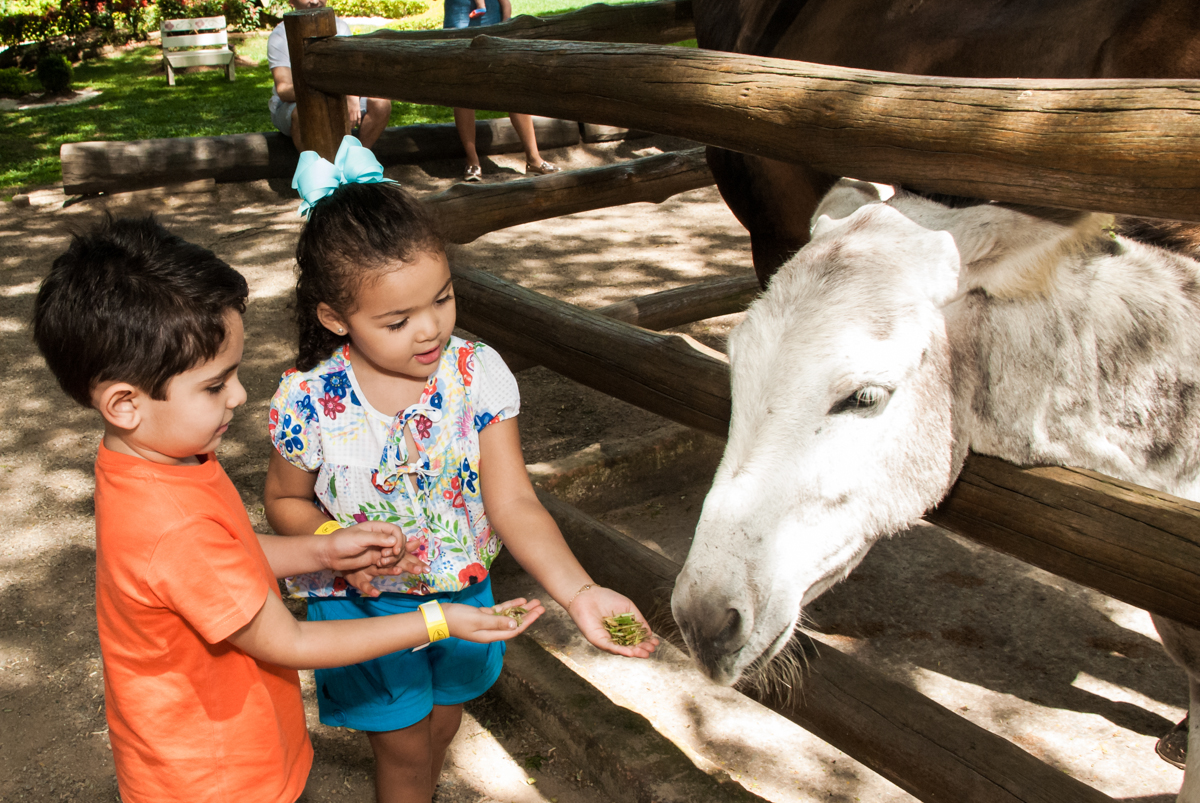 brincando com o cavalo no Buffet Pet Zoo, Cotia, São Paulo, aniversário de Maria Clara 4 anos, Buffet Pet Zoo, Cotia, São Paulo, tema da festa Dora a Aventureira
