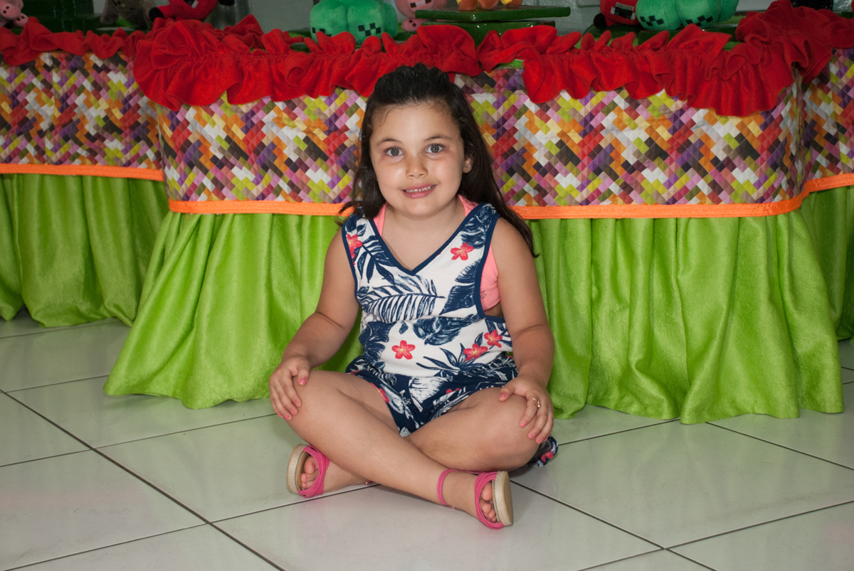 princesa linda no Buffet Fábrica da Alegria, Morumbi, São Paulo, aniversario de Pedro Henrique 7 anos, tema da festa mini craft