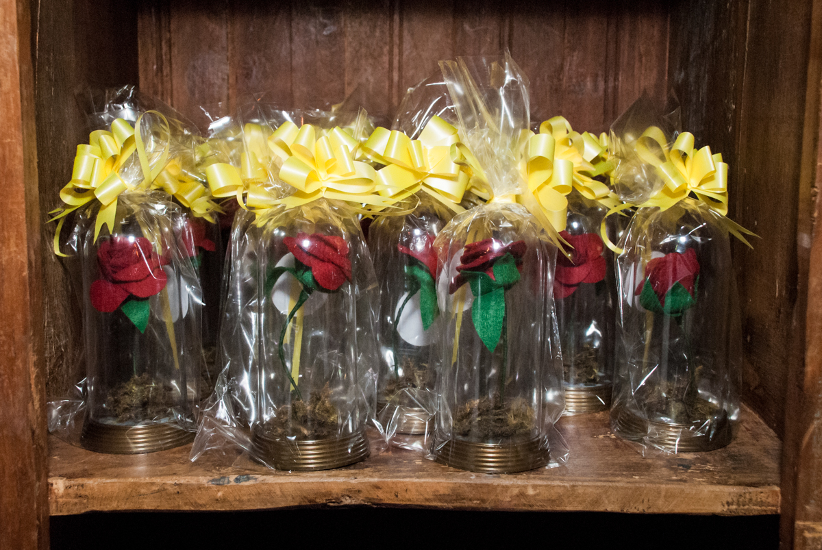 mais lembrancinhas no Buffet Fábrica da Alegria, Osasco São Paulo, aniversário de Vitória 9 anos, tema da festa A Bela e a Fera