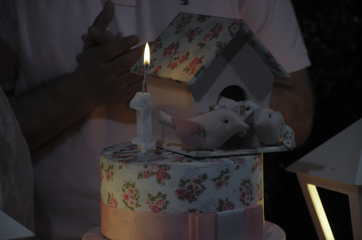 fotografia infantil, filmagem de festa infantil, foto e filmagem infantil, foto e vídeo de festa infantil, fotógrafo de festa infantil, fotógrafo de aniversário infantil, fotógrafo profissional infantil, fotógrafo