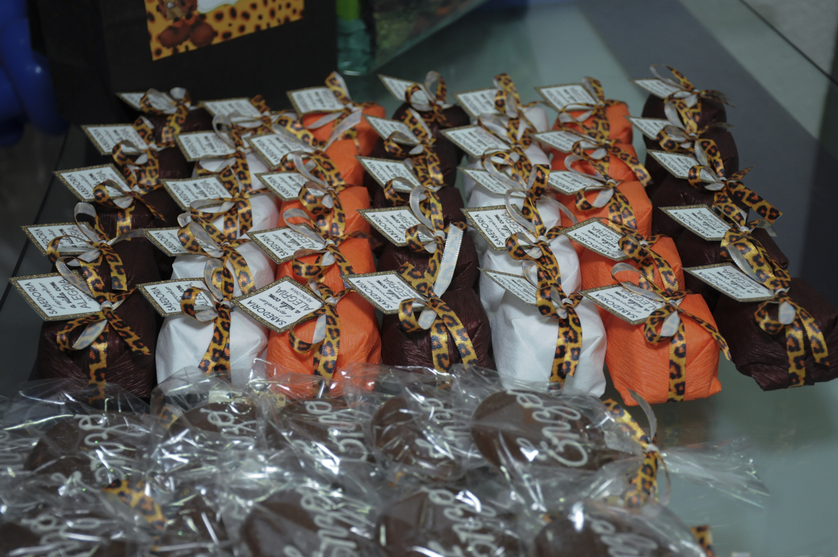 fotografia infantil, filmagem de festa infantil, foto e filmagem infantil, foto e vídeo de festa infantil, fotógrafo de festa infantil, fotógrafo de aniversário infantil, fotógrafo profissional infantil, fotógrafo