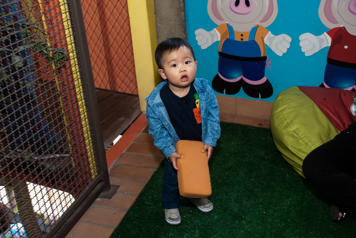 carregando o tijolo para construção