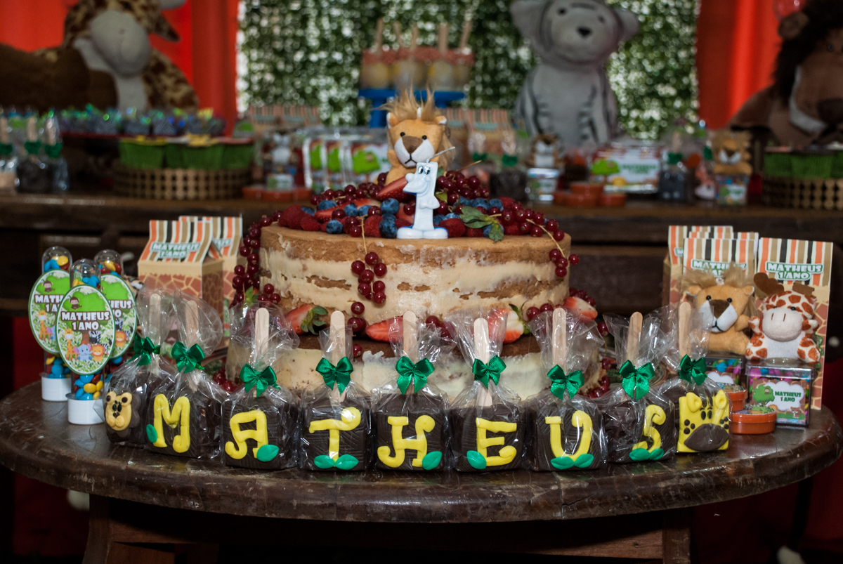 hora de cantar parabéns para o Matheus 1 ano