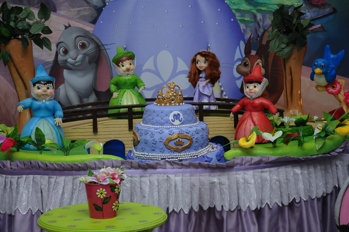 fotografia infantil, filmagem de festa infantil, foto e filmagem infantil, foto e vídeo de festa infantil, fotógrafo de festa infantil, fotógrafo de aniversário infantil, fotógrafo profissional infantil, fotógrafo