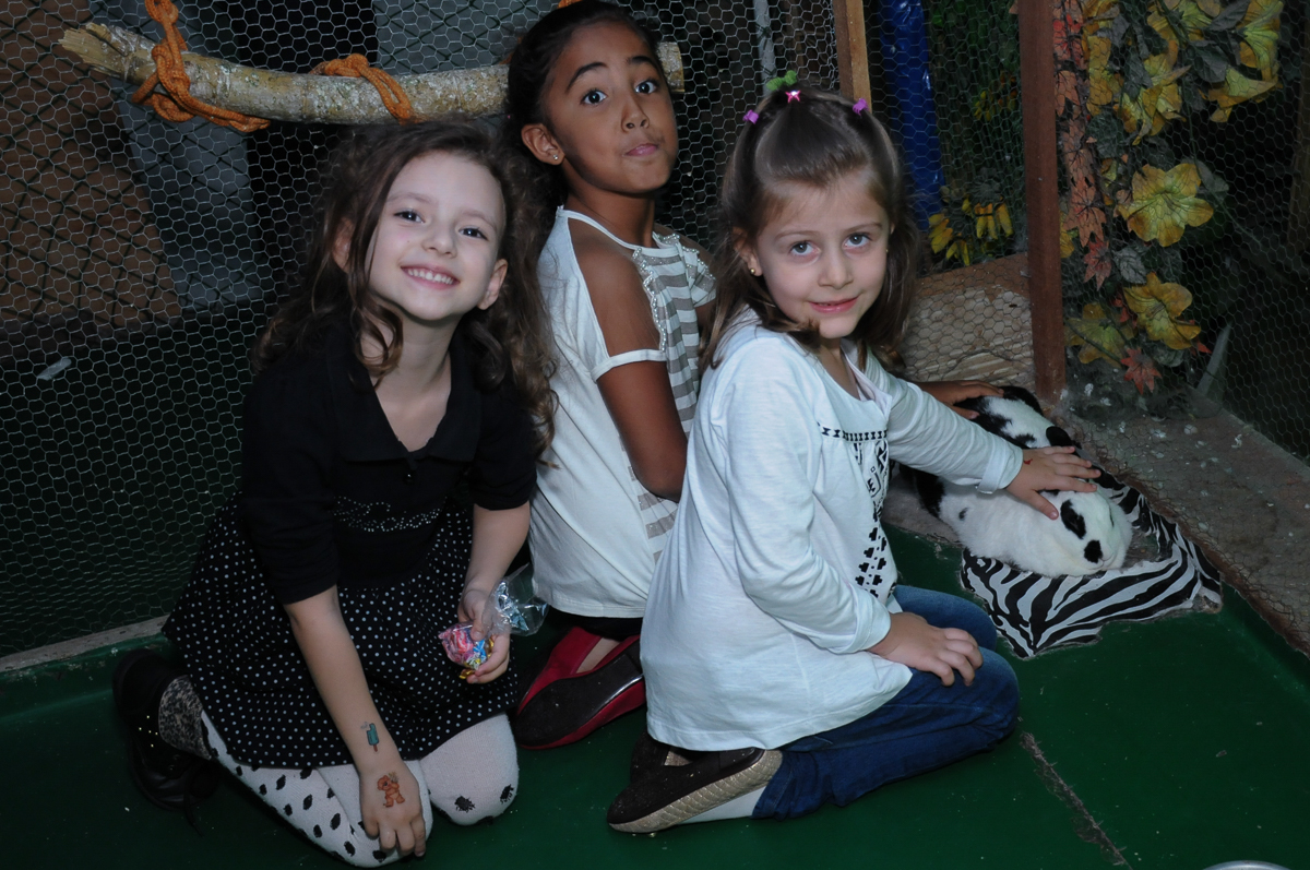 fotografia infantil, filmagem de festa infantil, foto e filmagem infantil, foto e vídeo de festa infantil, fotógrafo de festa infantil, fotógrafo de aniversário infantil, fotógrafo profissional infantil, fotógrafo