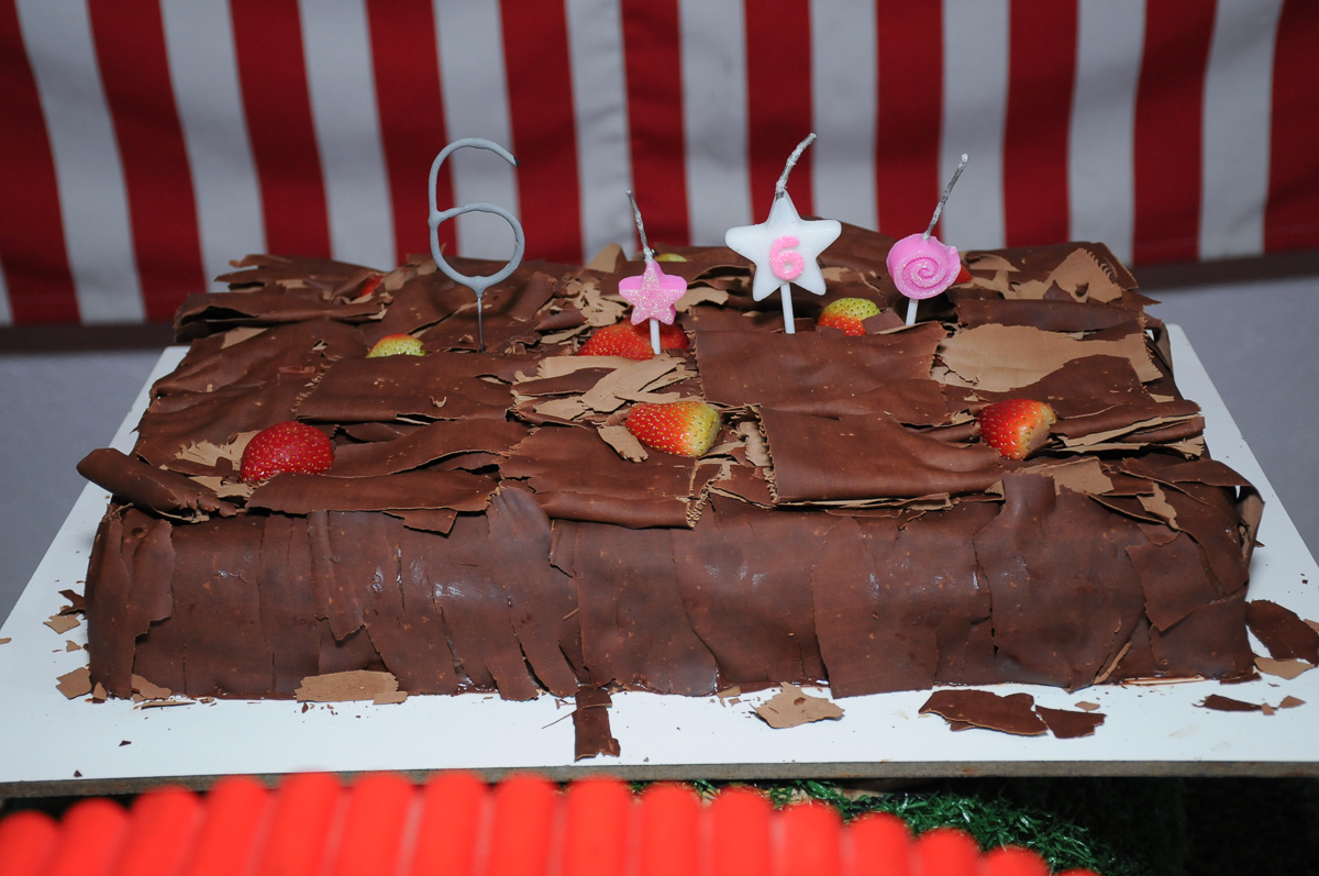 fotografia infantil, filmagem de festa infantil, foto e filmagem infantil, foto e vídeo de festa infantil, fotógrafo de festa infantil, fotógrafo de aniversário infantil, fotógrafo profissional infantil, fotógrafo