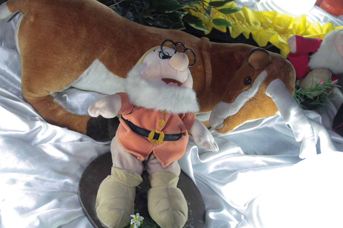 fotografia infantil, filmagem de festa infantil, foto e filmagem infantil, foto e vídeo de festa infantil, fotógrafo de festa infantil, fotógrafo de aniversário infantil, fotógrafo profissional infantil, fotógrafo