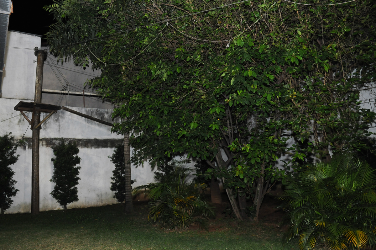 fotografia infantil, filmagem de festa infantil, foto e filmagem infantil, foto e vídeo de festa infantil, fotógrafo de festa infantil, fotógrafo de aniversário infantil, fotógrafo profissional infantil, fotógrafo