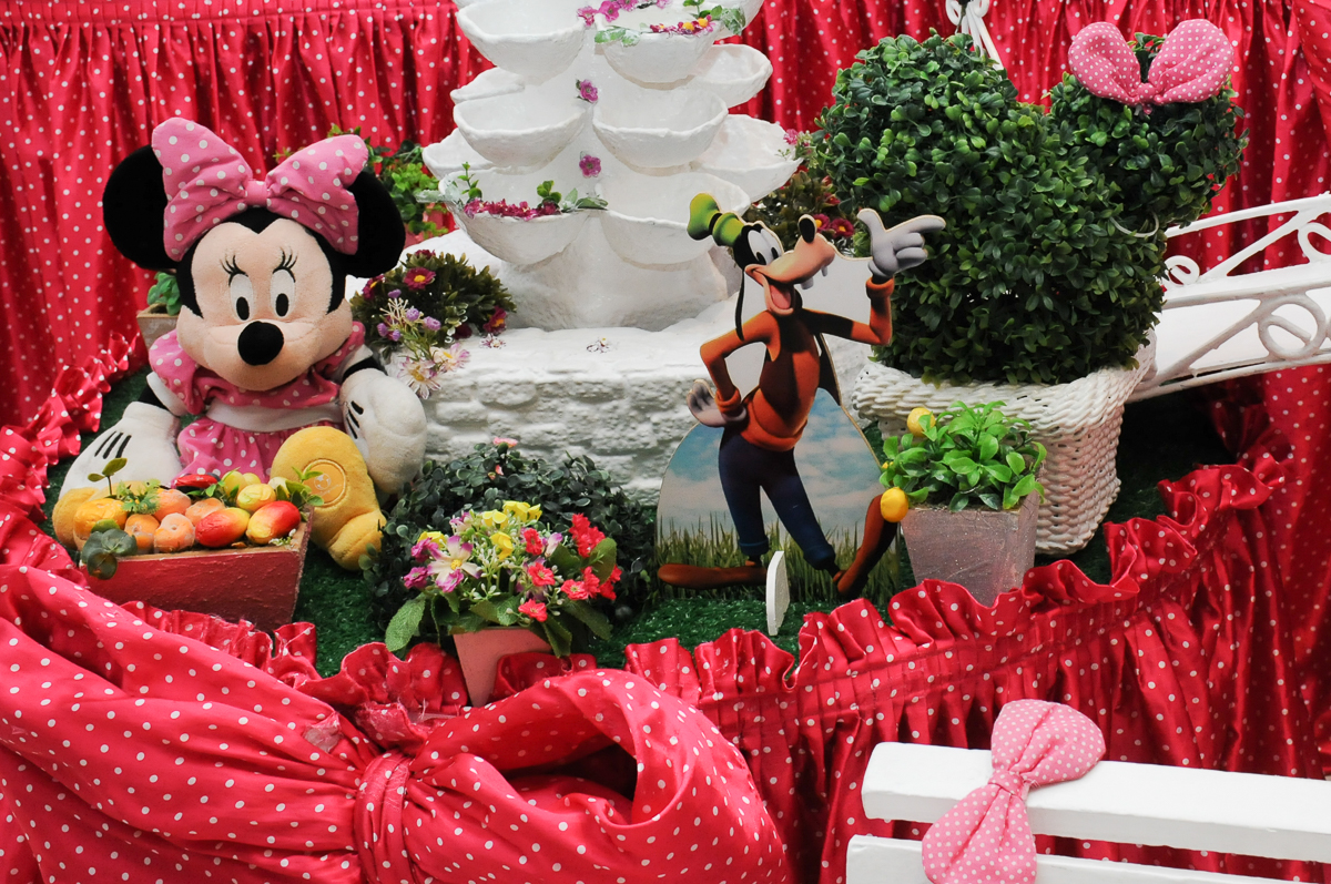 fotografia infantil, filmagem de festa infantil, foto e filmagem infantil, foto e vídeo de festa infantil, fotógrafo de festa infantil, fotógrafo de aniversário infantil, fotógrafo profissional infantil, fotógrafo