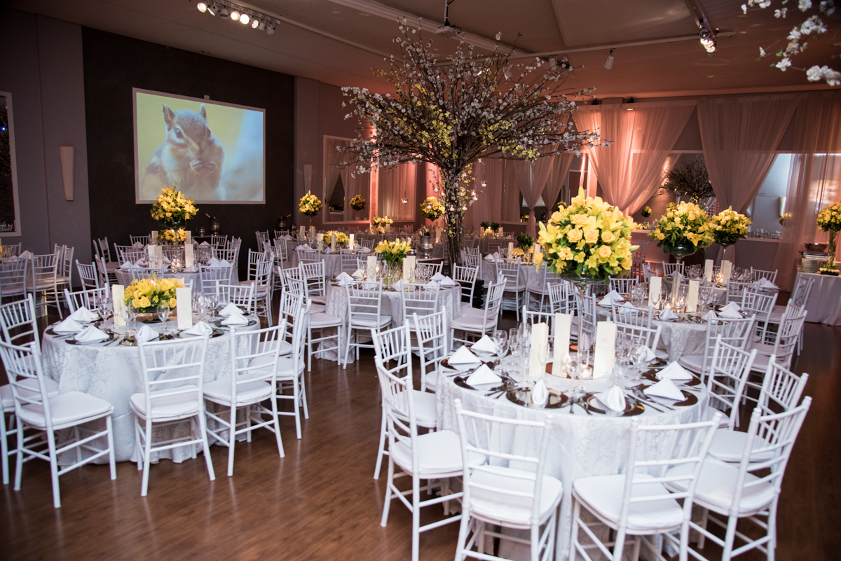 salão onde será a festa