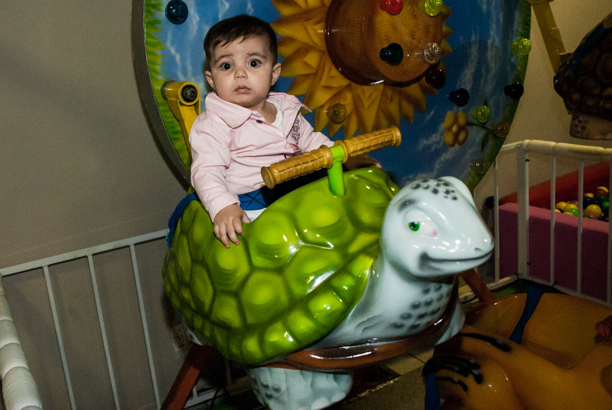 hora de aproveitar o carrossel montado na tartaruga