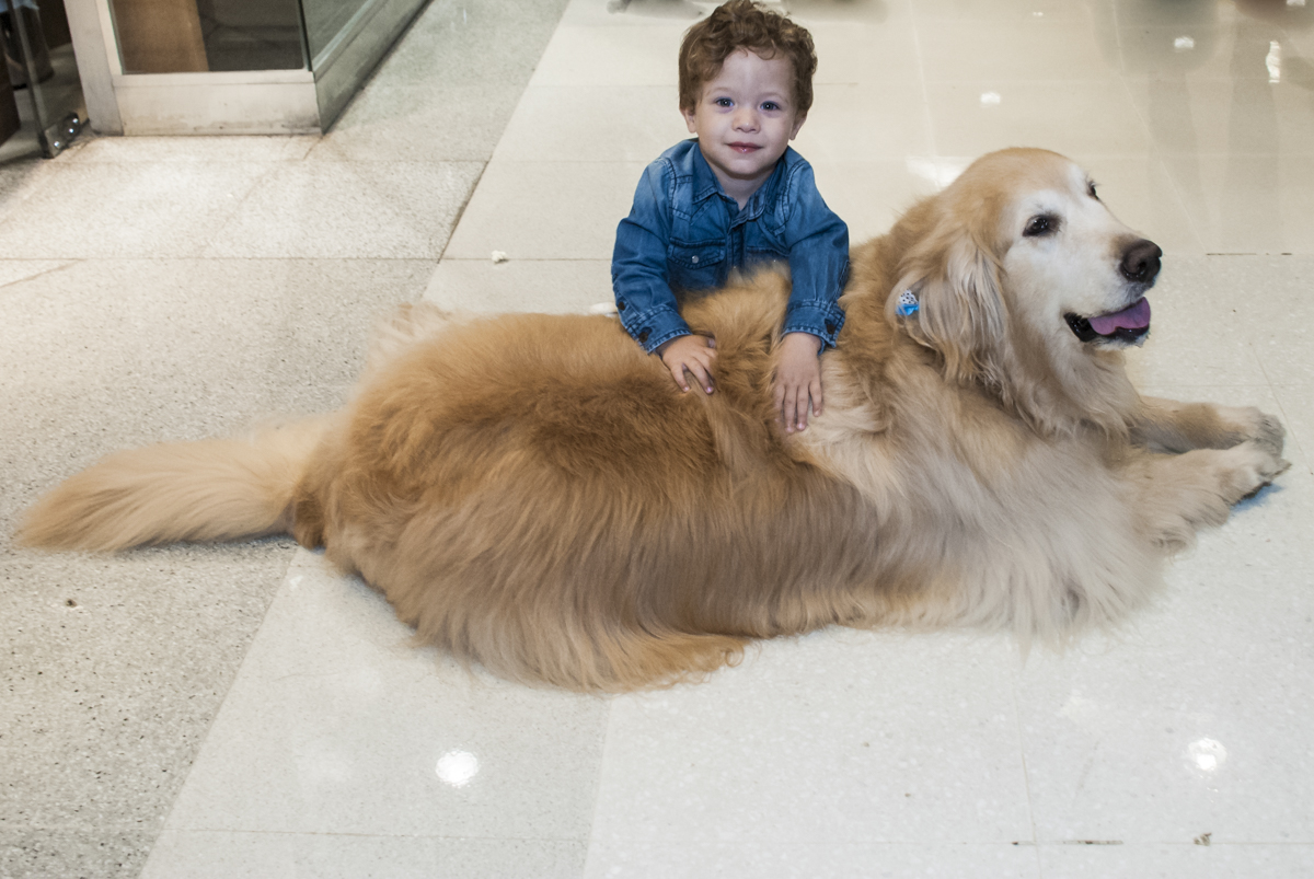 brincando com o cachorro