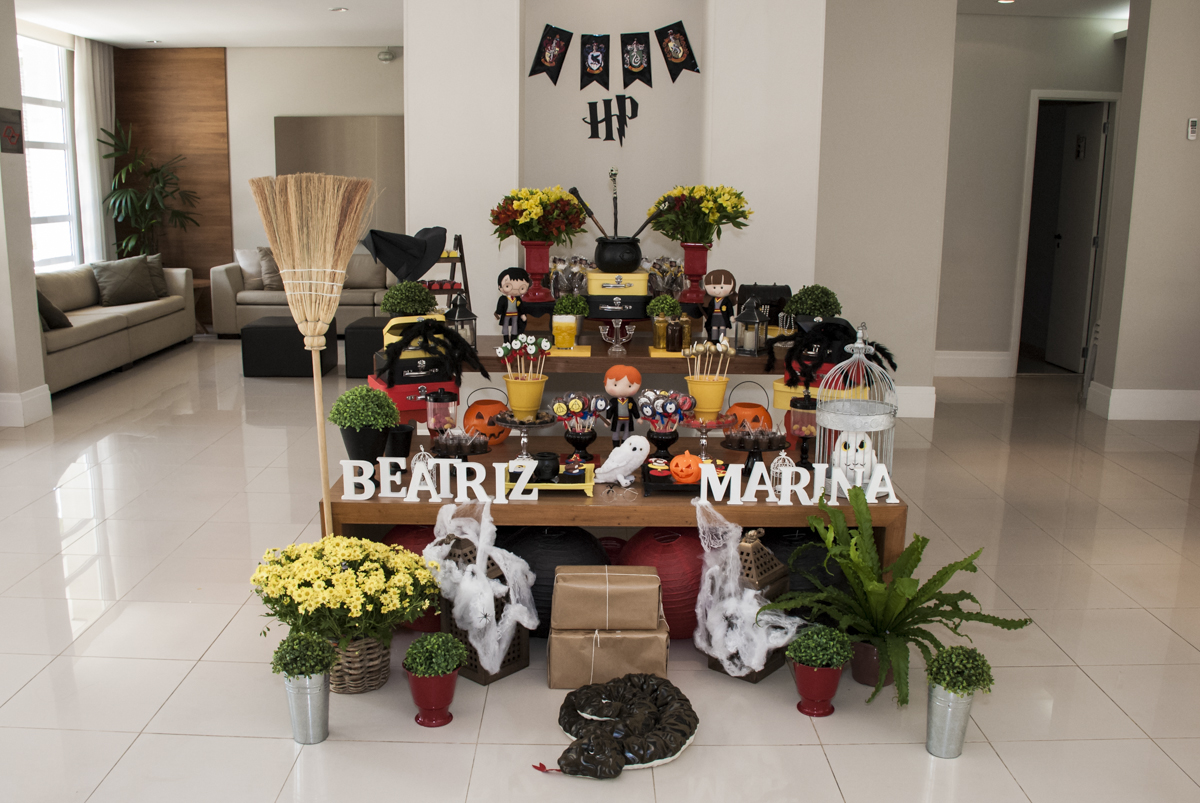 Aniversário de Beatriz e Marina 8 anos, Festa realizada no condomínio Jabaquara, São Paulo, tema Harry Potter