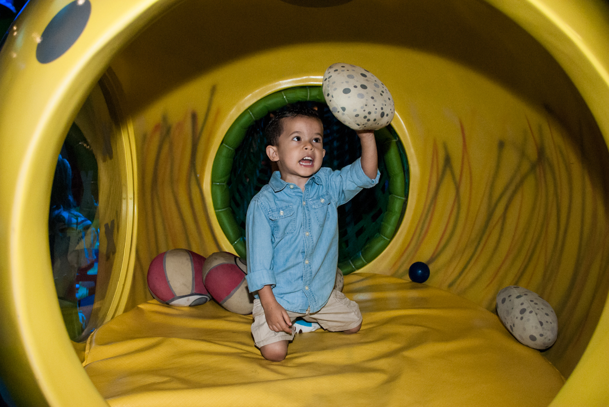 achou ovo de dinossauro