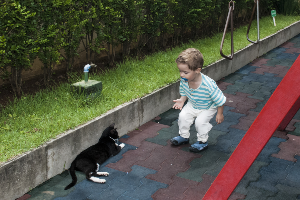 na festa também tem gatinho para brincar