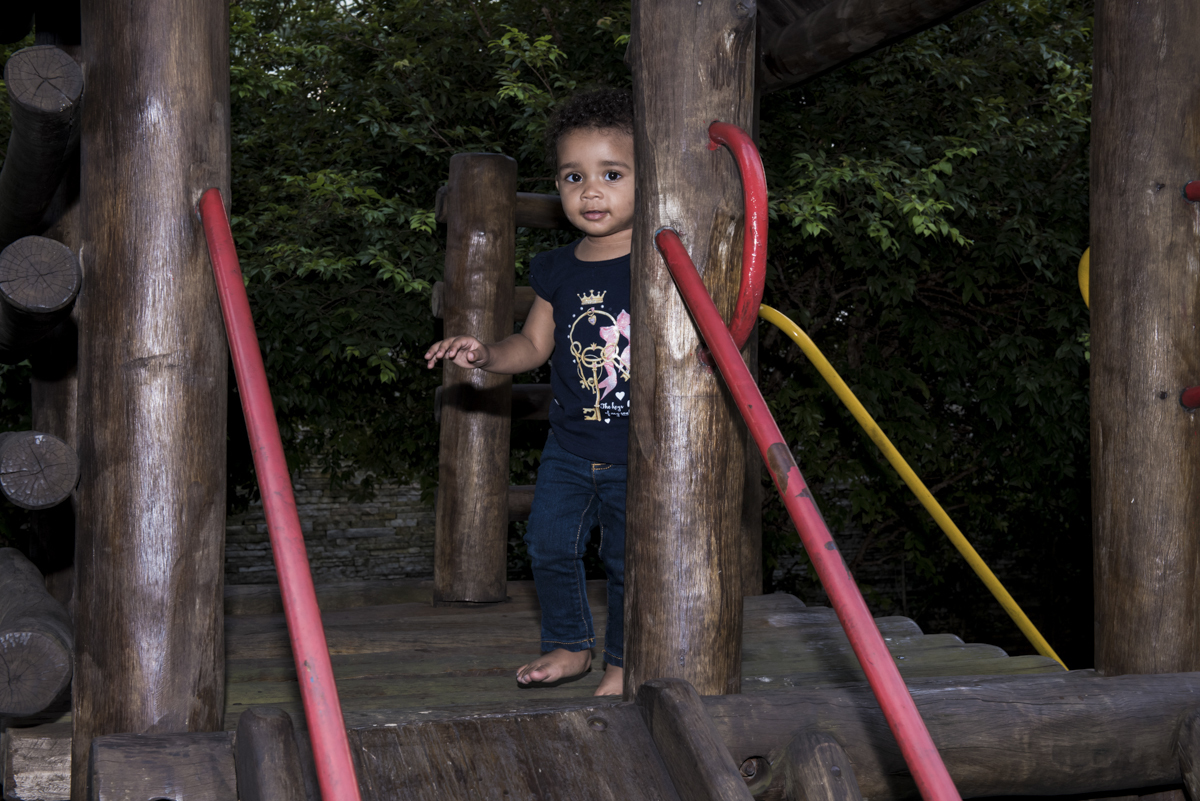 mais um amigo chega para brincar