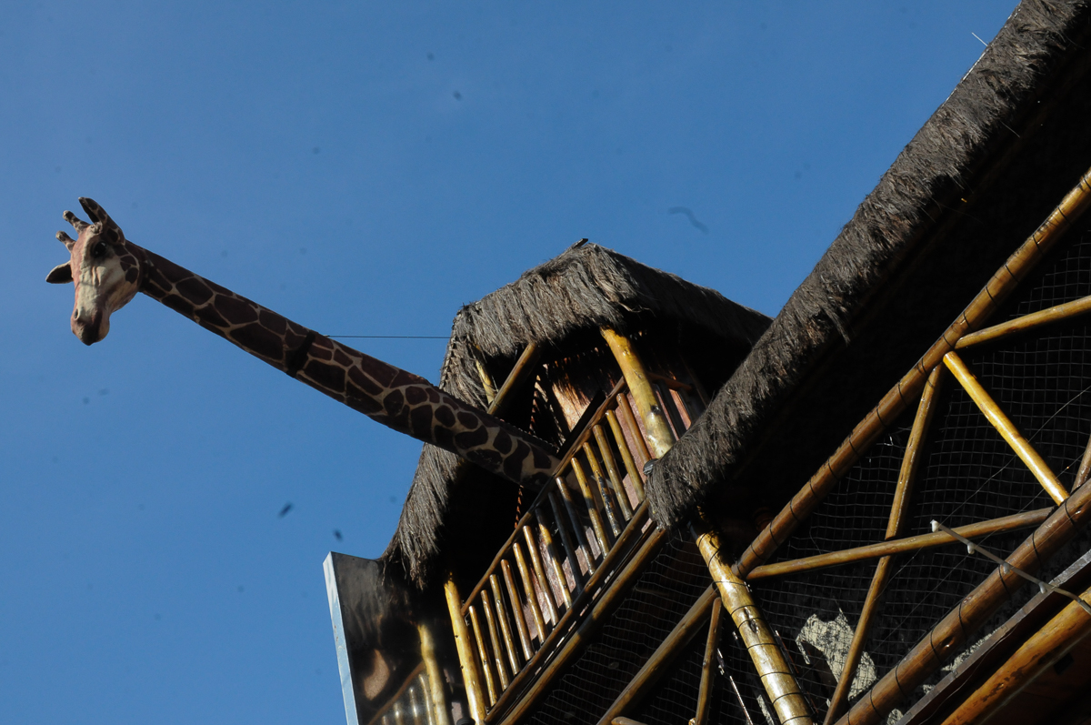 Buffet Saphari - Campo Belo