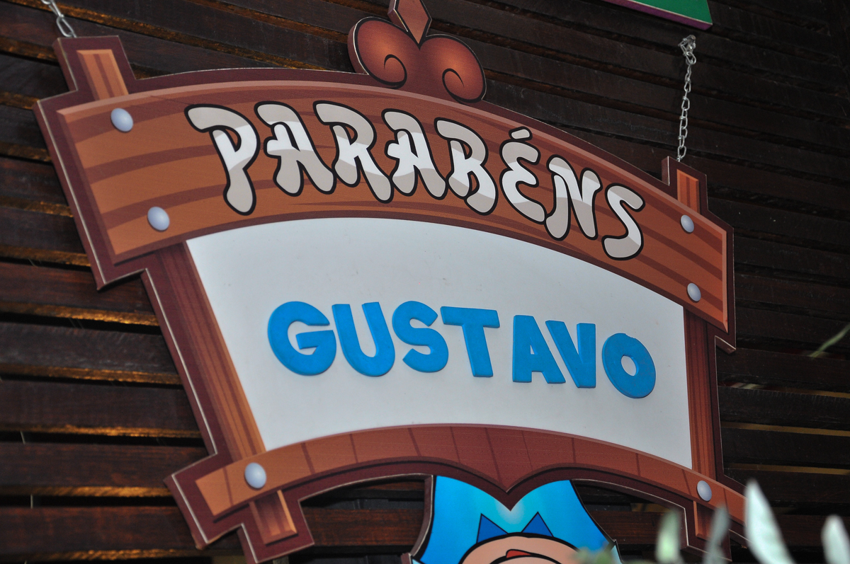 festa no buffet viva vida, fazendinha butantã