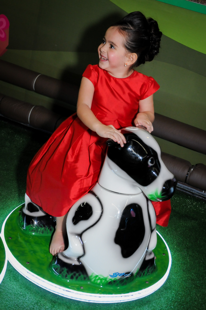 aniversariante na vaquinha no Buffet Viva Vida, Butantã, São Paulo