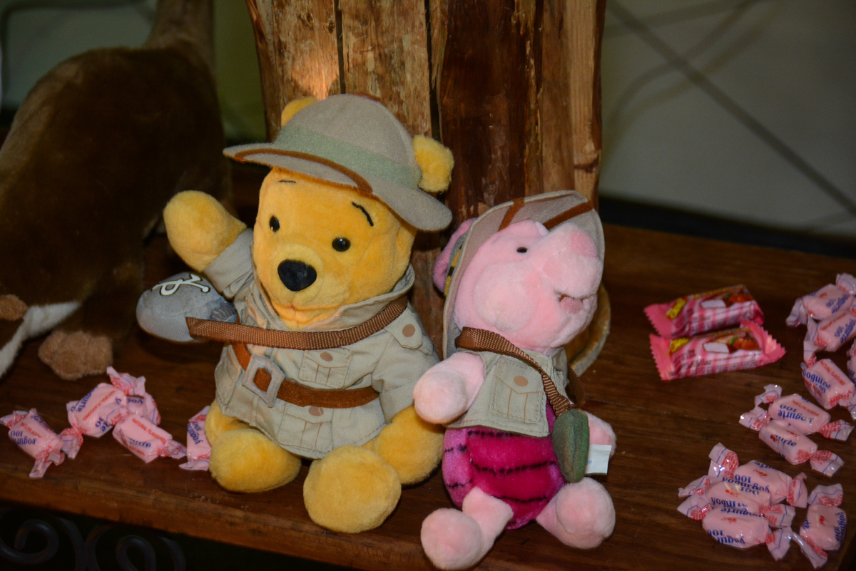 detalhe do tema da mesa mickey safari Buffet Fábrica da Alegria Unidade Morumbi,São Paulo