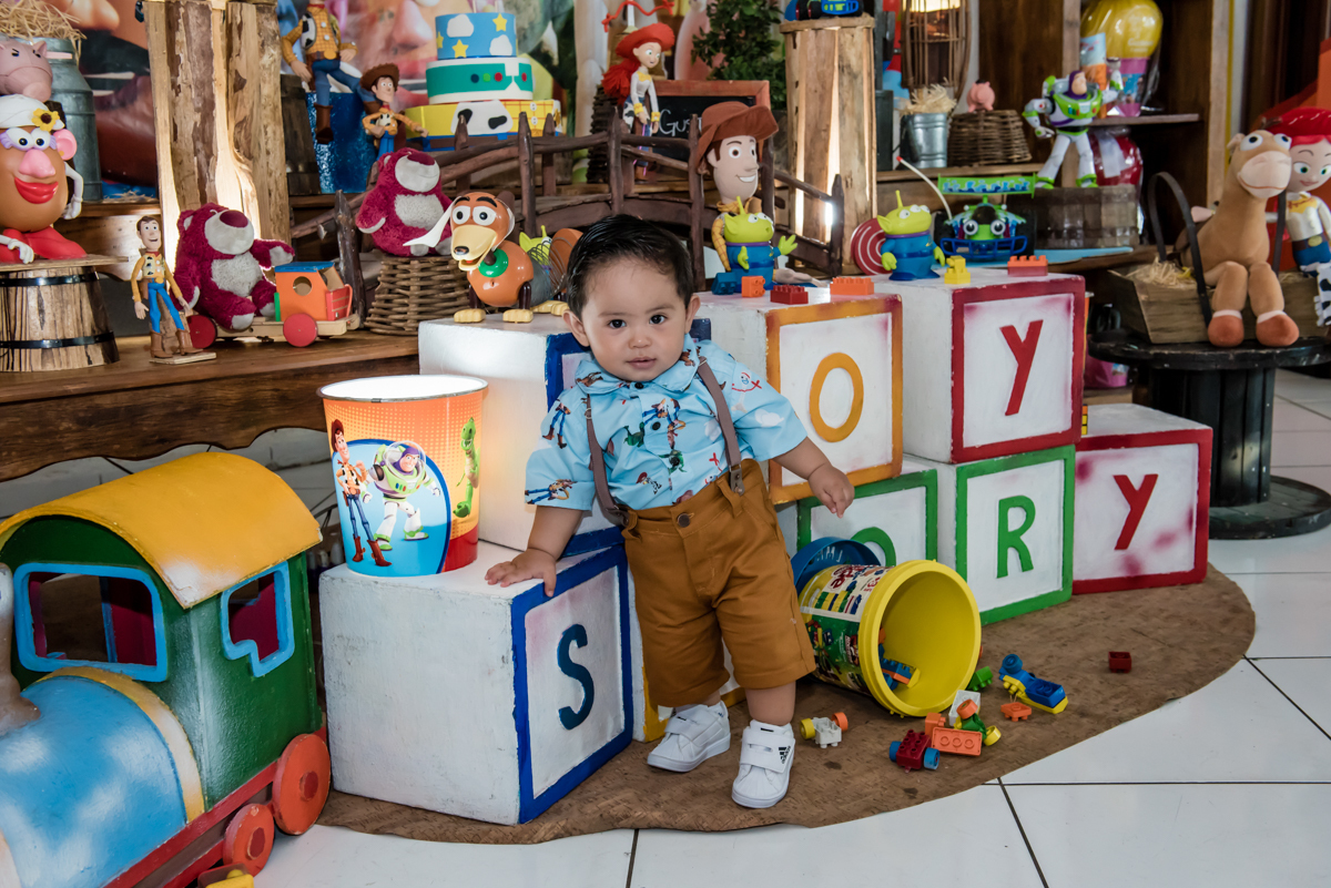 o aniversariante curte a mesa toy story