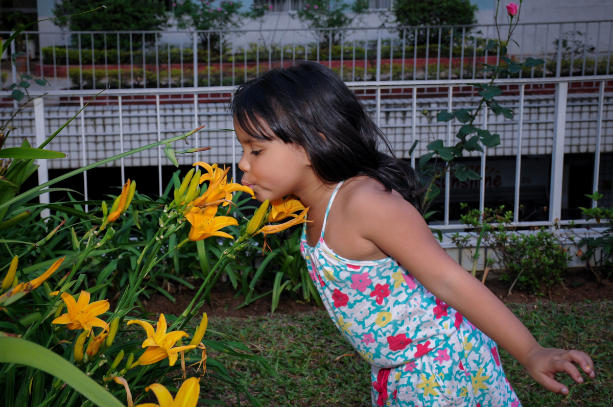 foto  beijando a flor no jardim no condomínio,Saude,São Paulo
