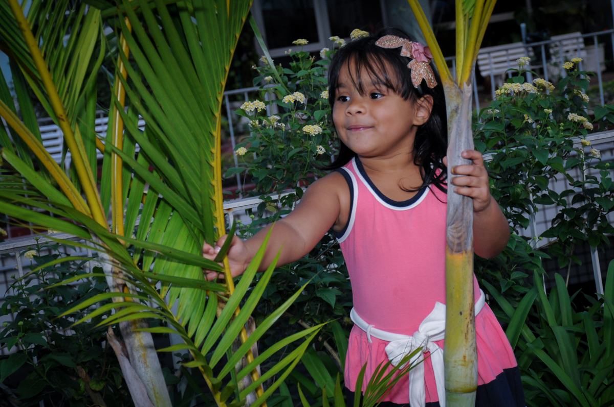 ensaio fotográfico no jardim entre as palmeiras no condomínio,Saude,São Paulo