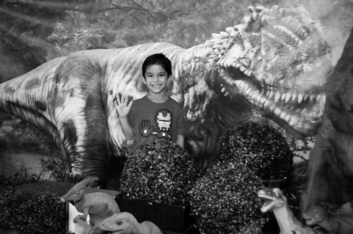 aniversariante posa para foto no Buffet Paparicos, festa infantil, tema da mesa dinossauros, guilherme 5 anos