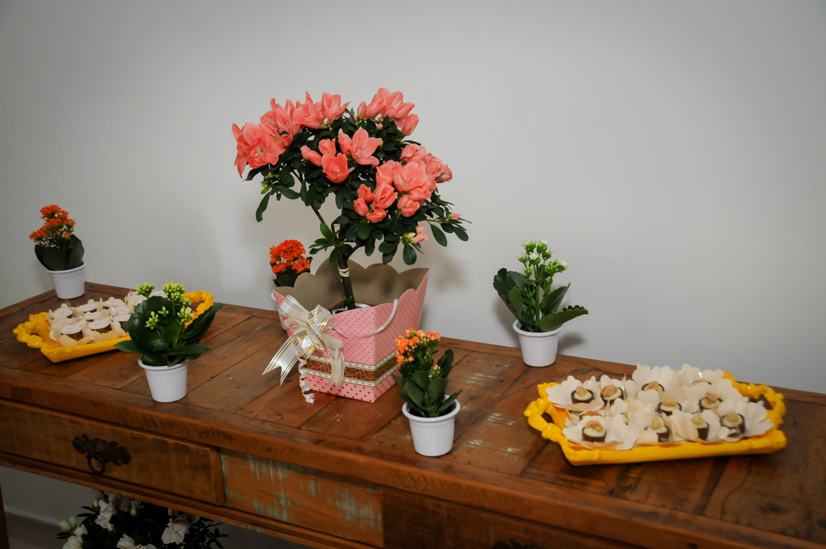 detalhes da decoração da Festa infantil Paulina Chieko 5 anos, condomínio Saúde, São Paulo, SP, tema da festa meninas super poderosas