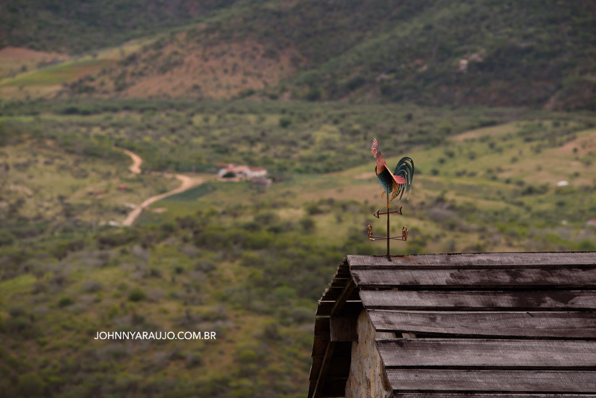 cação da madrugada