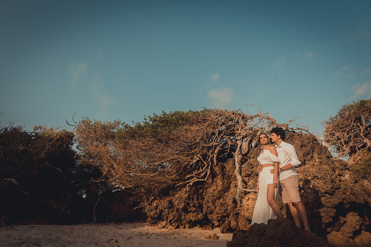 raízes de uma nova família se forma