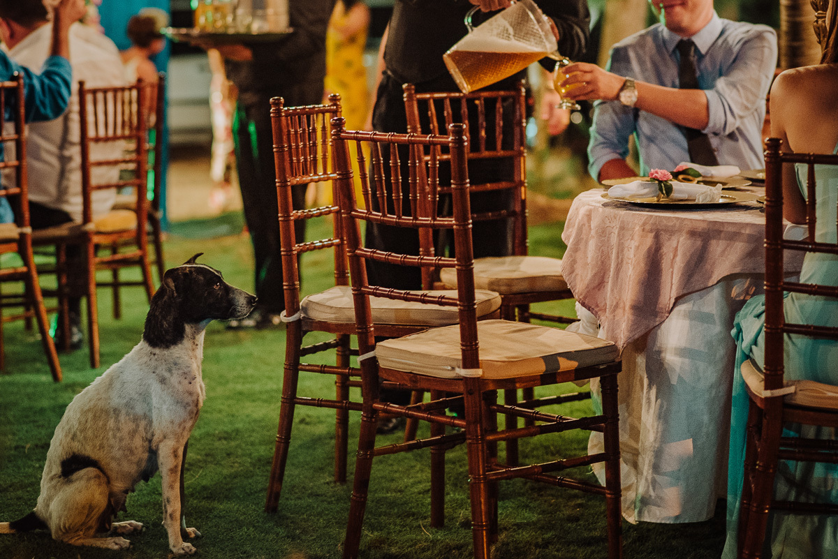 detalhes da festa e convidados