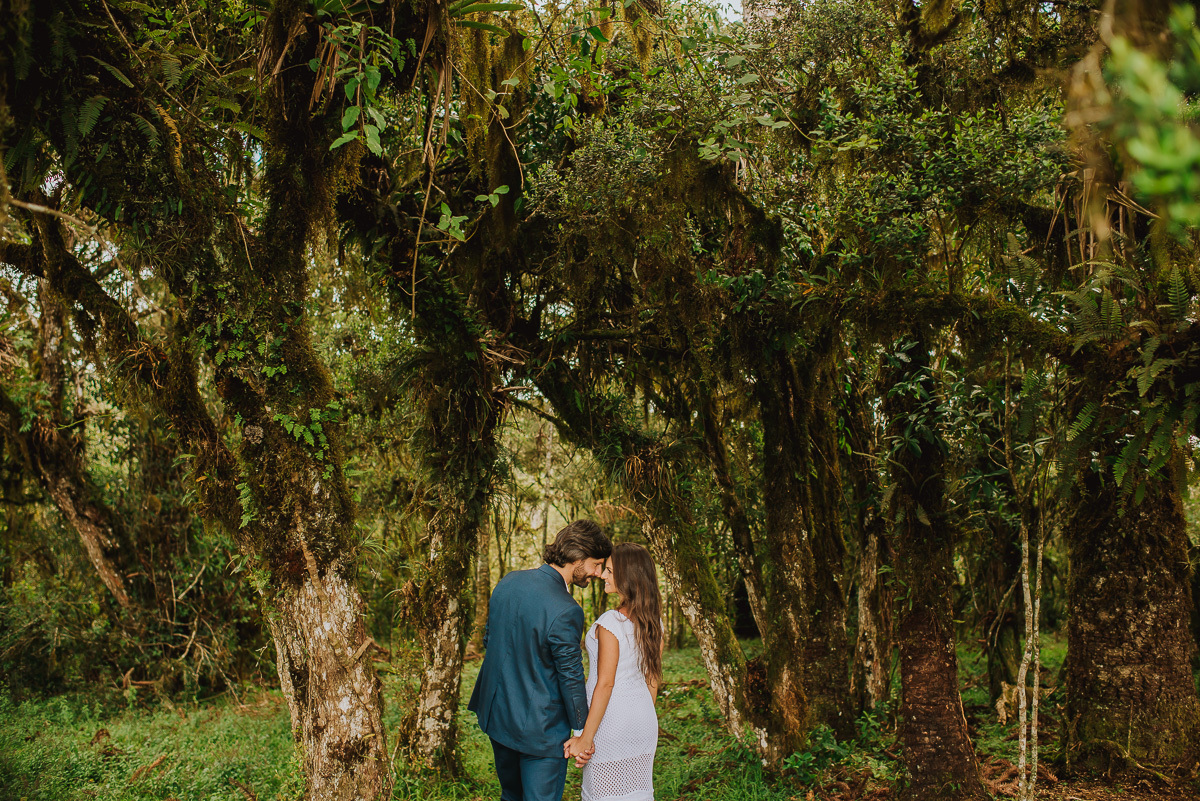 Ensaio no Parque Nacional