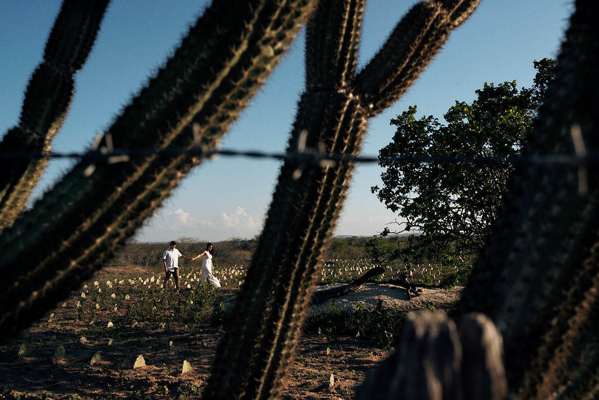 ensaio de Fernanda e Lucas em Catolé de Boa Vista no sitio do sua avó, cacto em primeiro plano