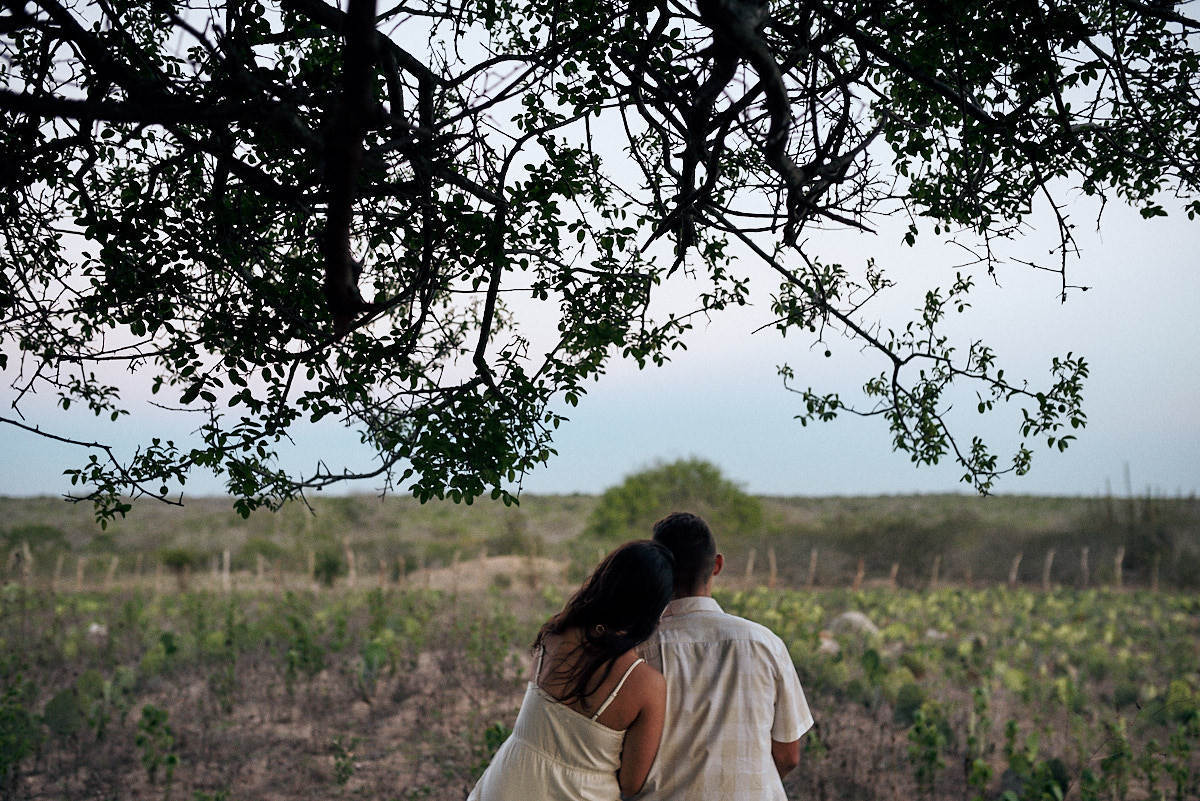 ensaio de Fernanda e Lucas em Catolé de Boa Vista no sitio do sua avó, sentados debaixo de uma árvore