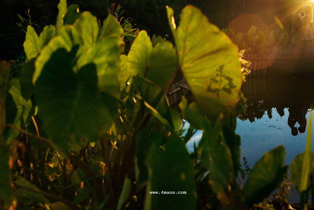 ensaio de Laryssa e Carlos por 4Mãos Fotografias no Mercado Central de São Paulo onde o casal passou muito tempo se encontrando, em Minas gerais onde o casal gosta de passar seu tempo. Eles amam cozinhar